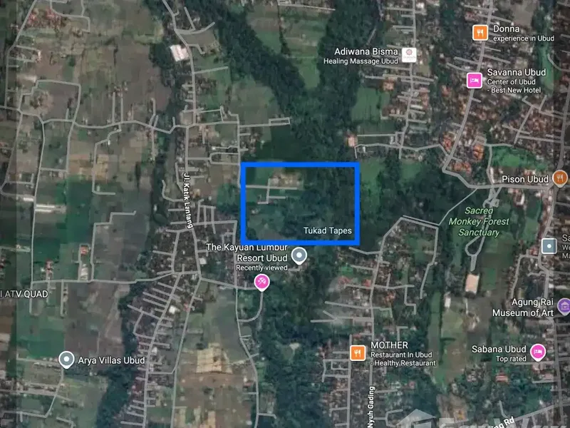 Land for sale in Ubud, Bali - Real Estate in Bali