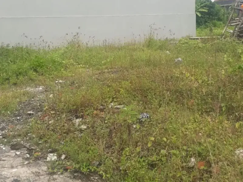 Di Jual Tanah 1 Are - Lokasi Jl. Sedap Malam, Titibatu - Denpasar - Real Estate in Bali