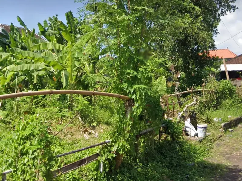 Land in Dalung 800 sqm - Real Estate in Bali