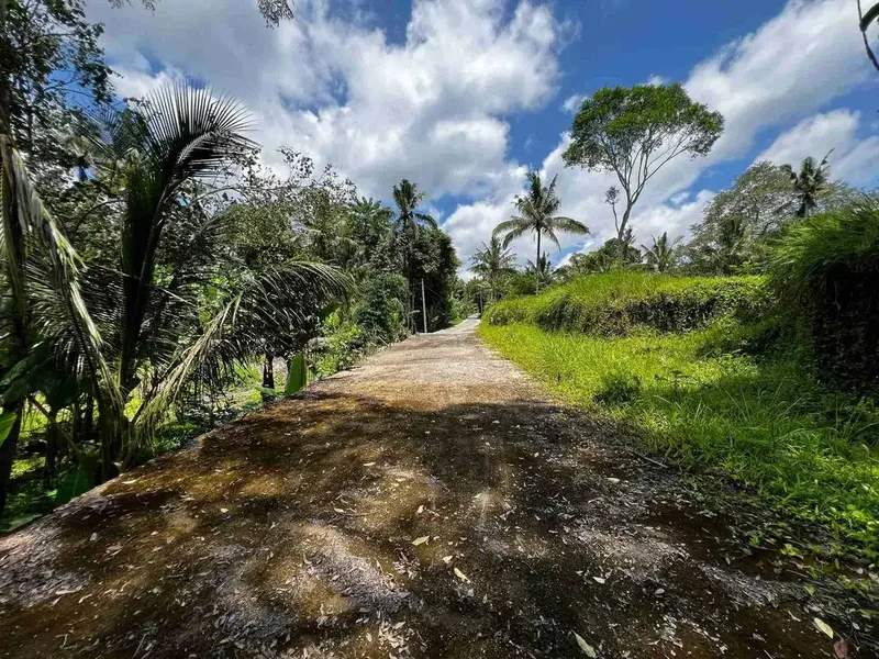 Tanah Payangan Ubud Gianyar Bali - Real Estate in Bali