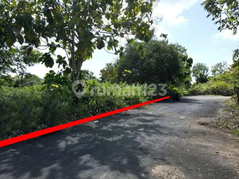 Langka Hanya 1 Kilometer ke Balangan Beach - Real Estate in Bali