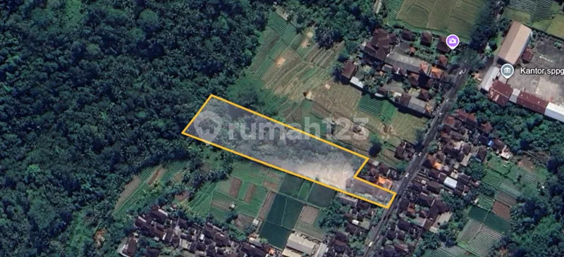 Tanah Strategis, Zona Kuning Siap Bangun Nego!!!Nego!!!Nego!!! Perean , Baturiti - Bali . Jalan Utama Denpasar - Bedugul. Investasi yang Menjanjikan. - Bali in Bali