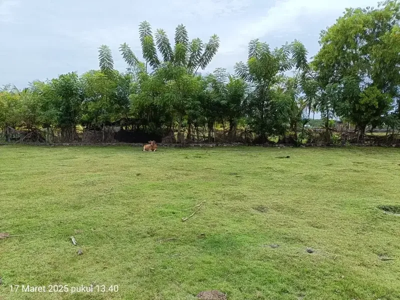 TANAH KOSONG DI PANTAI SUMBERKIMA SINGARAJA COCOK UNTUK INVESTASI - Real Estate in Bali
