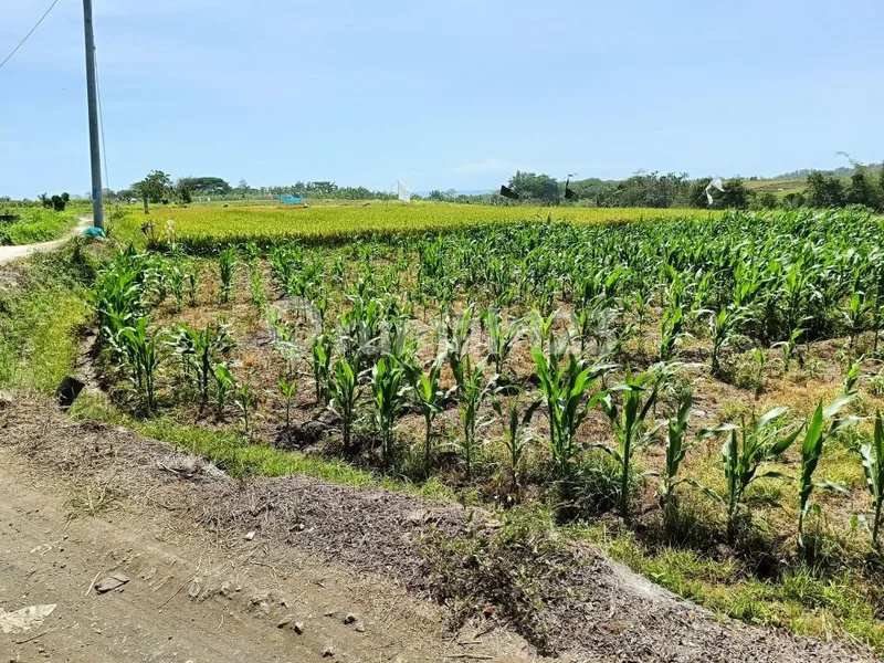 Tanah Zona Pariwisata Di Yeh Gangga Tabanan Dekat Waka - Bali in Bali