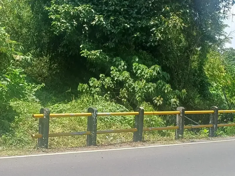 Di Jual Tanah View Sawah - Sempol, Pererenan - Bali in Bali