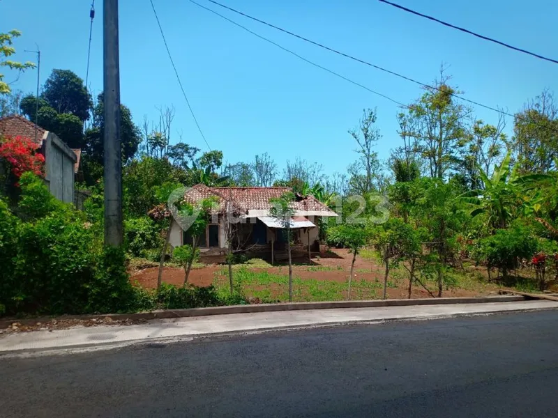 Dijual Tanah Perkebunan Kopi 4,5 HA Di Buleleng Bali Ada Mata Air - Bali in Bali