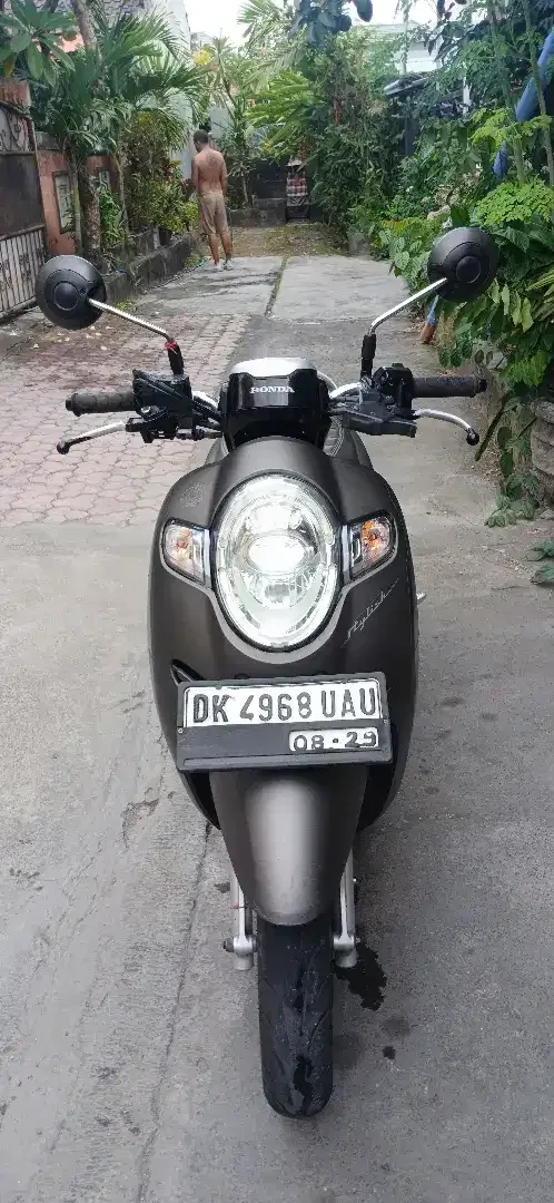 Honda Scoppy 2019 - Vehicles in Bali