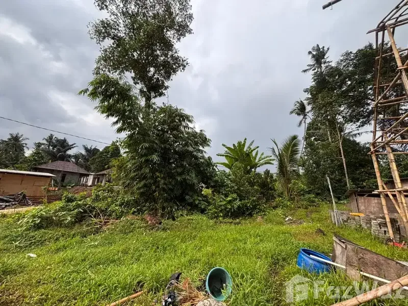 Land for sale in Sayan, Bali - Real Estate in Bali