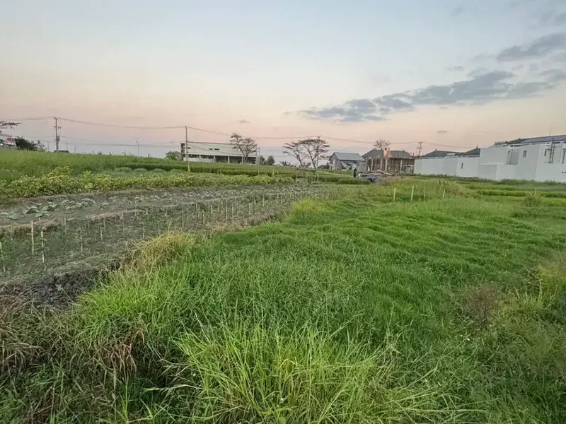 TANAH KOSONG DI SESEH BADUNG DEKAT PANTAI SESEH - Real Estate in Bali