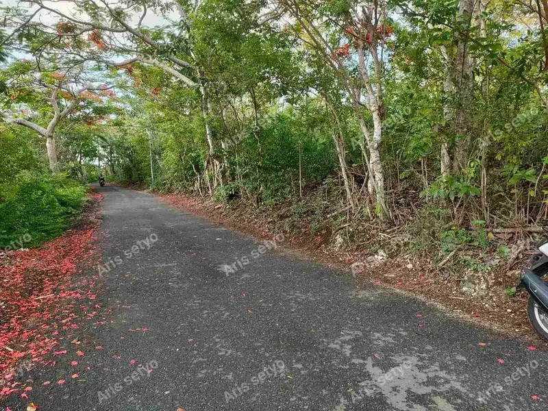 DISEWAKAN TANAH STRATEGIS 50 ARE UNGASAN - Real Estate in Bali