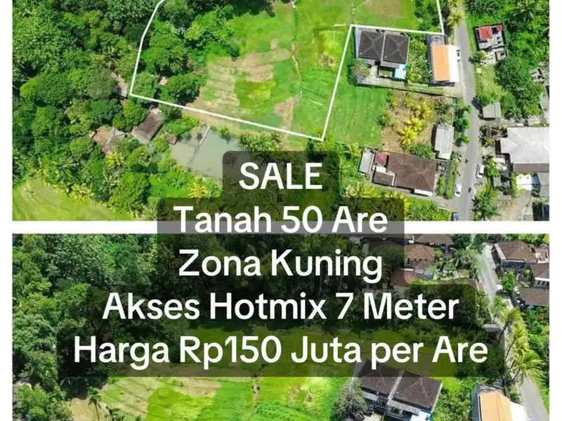 SALE Tanah 50 Are Zona Kuning Megati Selemadeg Timur - Bali in Bali