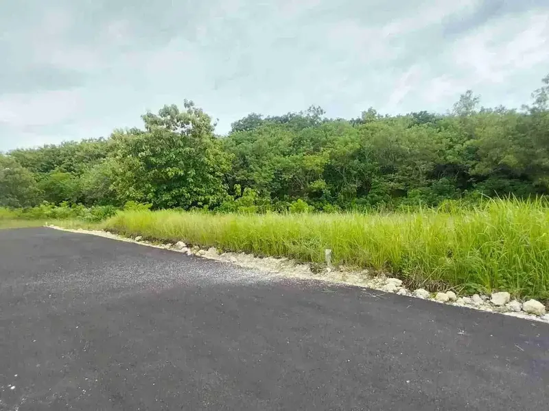 dijual tanah 15 are IDR 450 juta per are dekat poltekpar Bali STP nusa dua - Real Estate in Bali