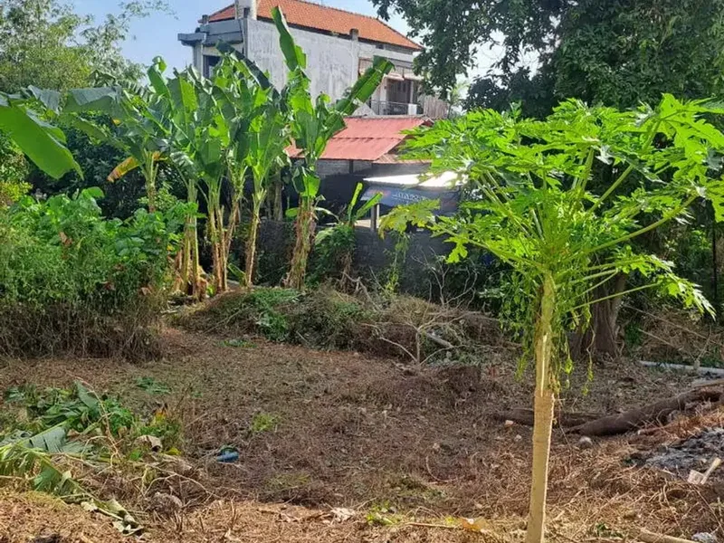 RARE OPPORTUNITY IN SEMINYAK - Bali in Bali