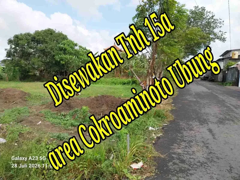 Disewakan Tanah 15a di Jln Bina Kusuma Cokroaminoto Ubung Denpasar Bali - Real Estate in Bali