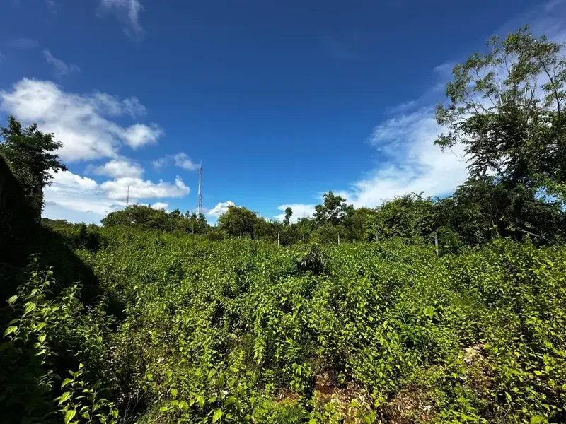 Dijual Tanah 760m² Zona Komersial Kutuh Nusa Dua – Bonus 140m² - Real Estate in Bali