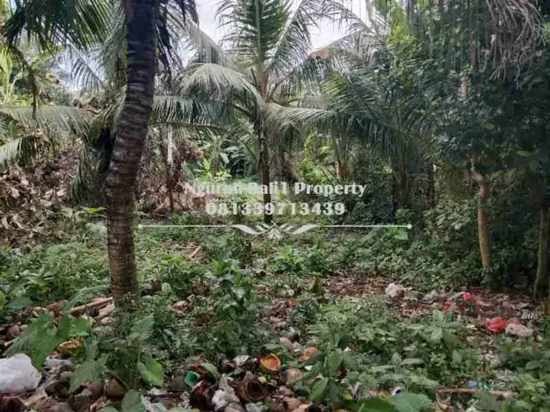 BUC Dijual Tanah Murah Luas 500 m2 Kawasan Villa di Lodtunduh Ubud - Real Estate in Bali