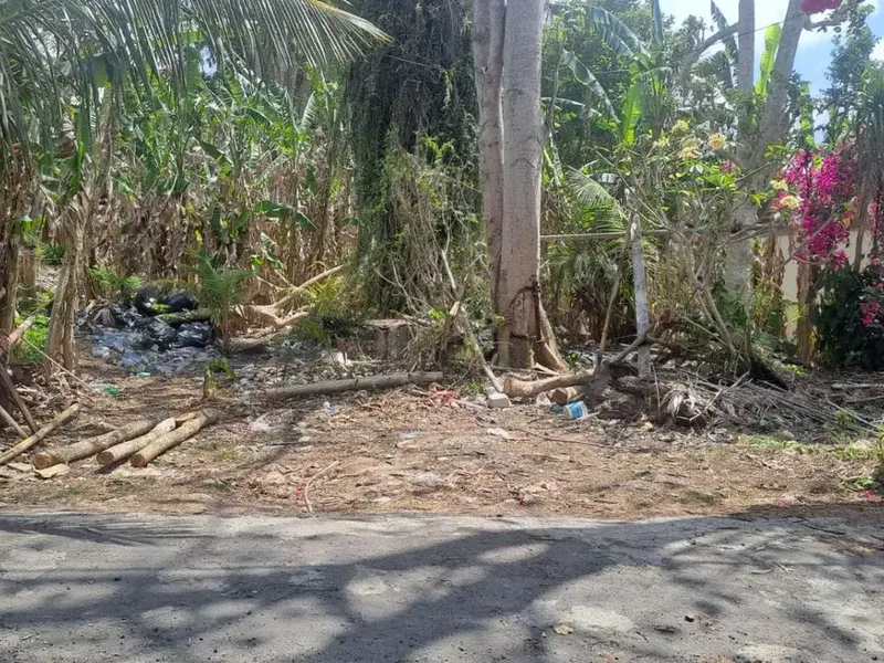 Dijual Tanah Lingkungan Villa Premium, Cocok untuk Investasi Aman Jangka Panjang - Real Estate in Bali