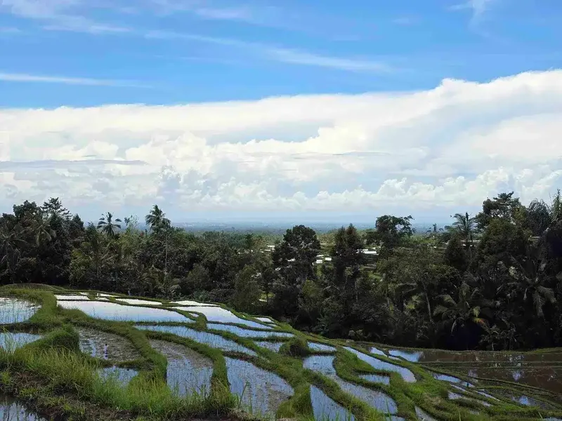 Dijual tanah view sawah dan gunung laut di bali - Bali in Bali