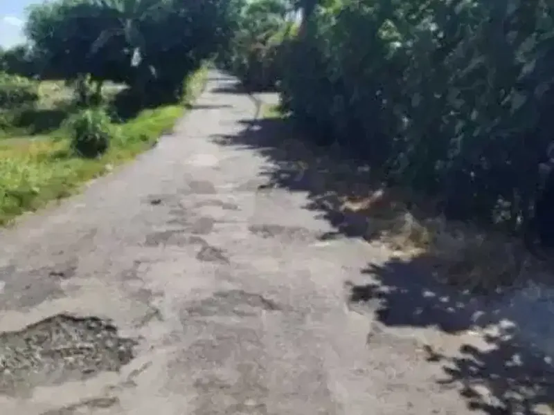 Land for sale in Denpasar Selata, Bali - Real Estate in Bali