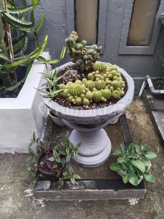 Rumah Full Furnished di Muding Mekar Kerobokan - Badung, Bali - Real Estate in Bali