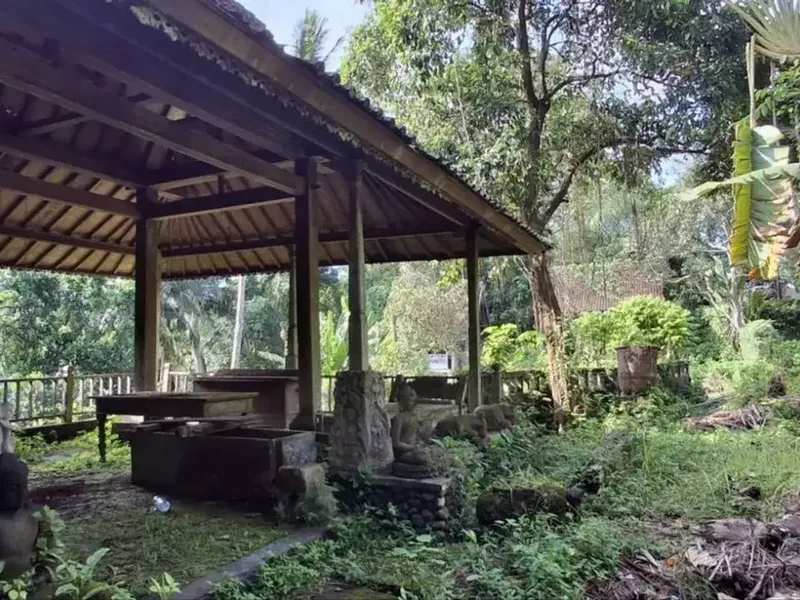 Tanah Komersil 84,43 Are Dijual, di Area Singapadu Tengah Ubud - Real Estate in Bali