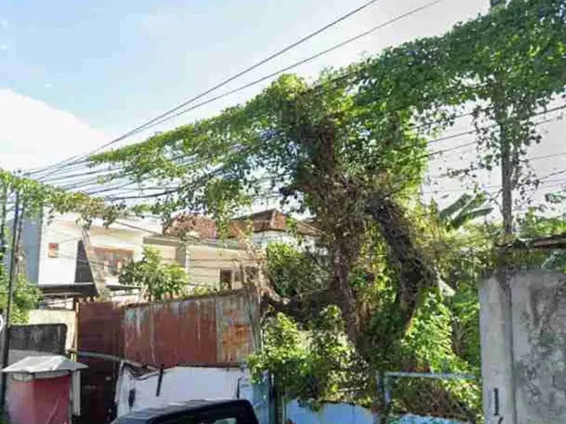 TANAH PREMIUM COCOK UNTUK USAHA DI JALAN UTAMA GLOGOR CARIK DENPASAR SELATAN - Bali in Bali