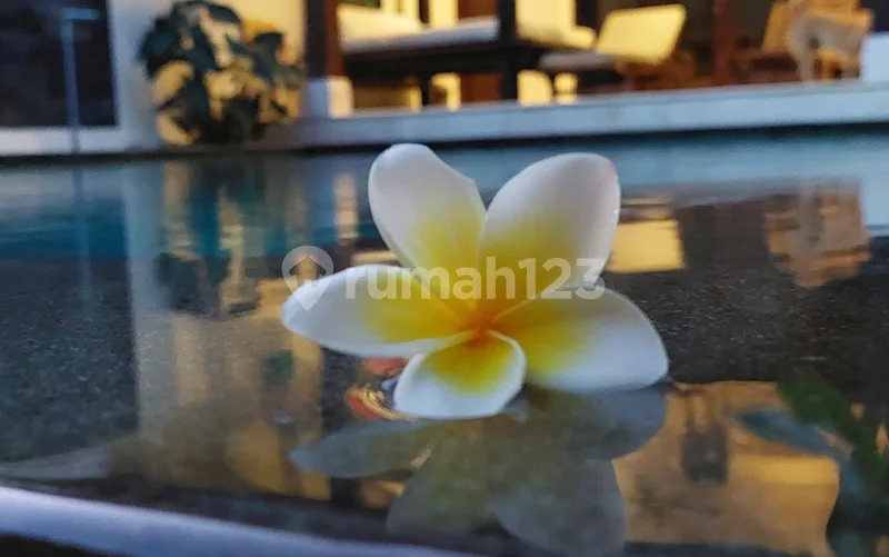 Villa Unik,Bersih Dan Terawat 6 Menit Ke Pantai Jimbaran - Real Estate in Bali