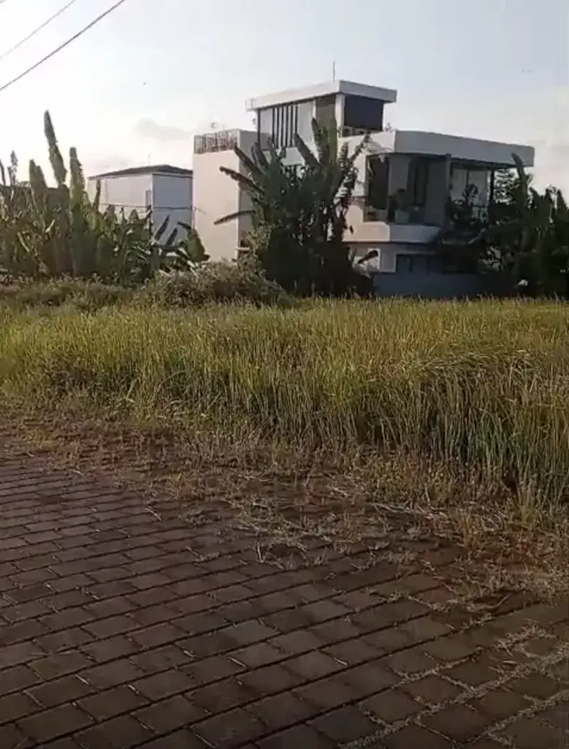 25mnit to Canggu Puri Damai Residence Villa - Real Estate in Bali