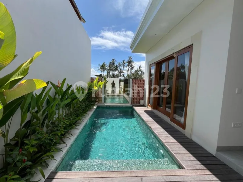 One Bedroom Villa For Rent - Real Estate in Bali
