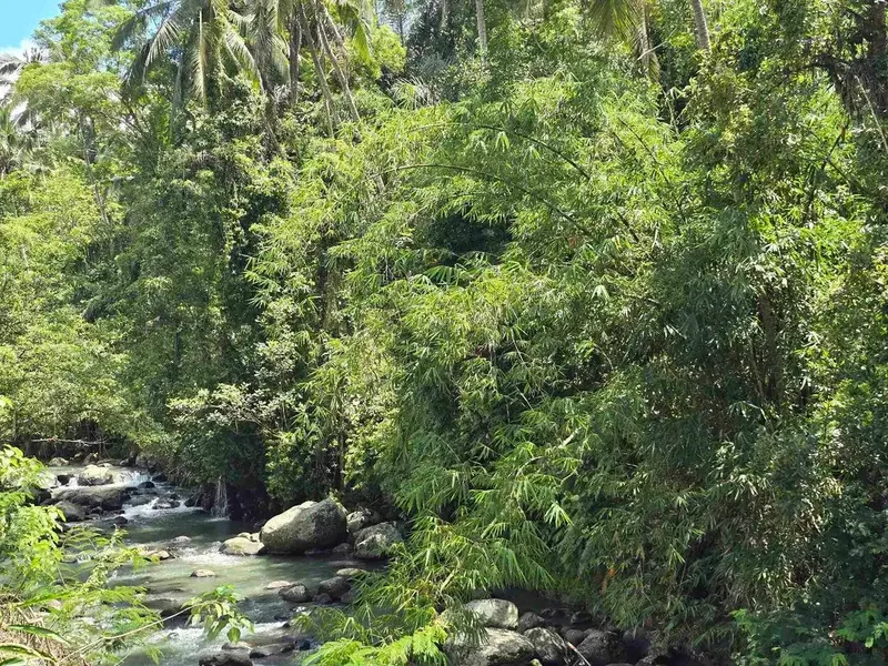 dijual tanah kecil los sungai air jernih bebatuan di penebel tabanan bali - Real Estate in Bali