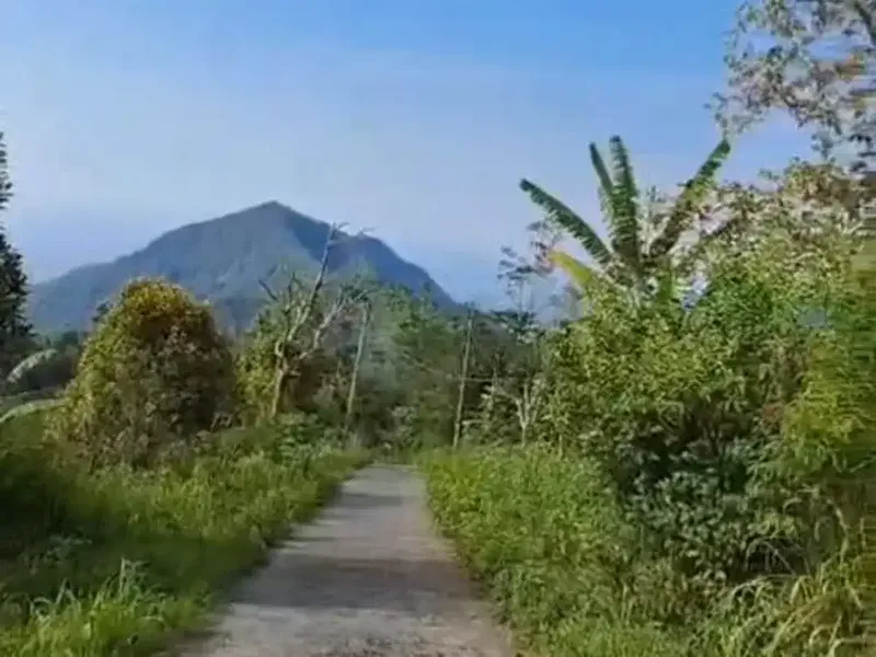 TANAH LUAS DI KAWASAN WISATA BARU BALI UTARA BULELENG - Real Estate in Bali