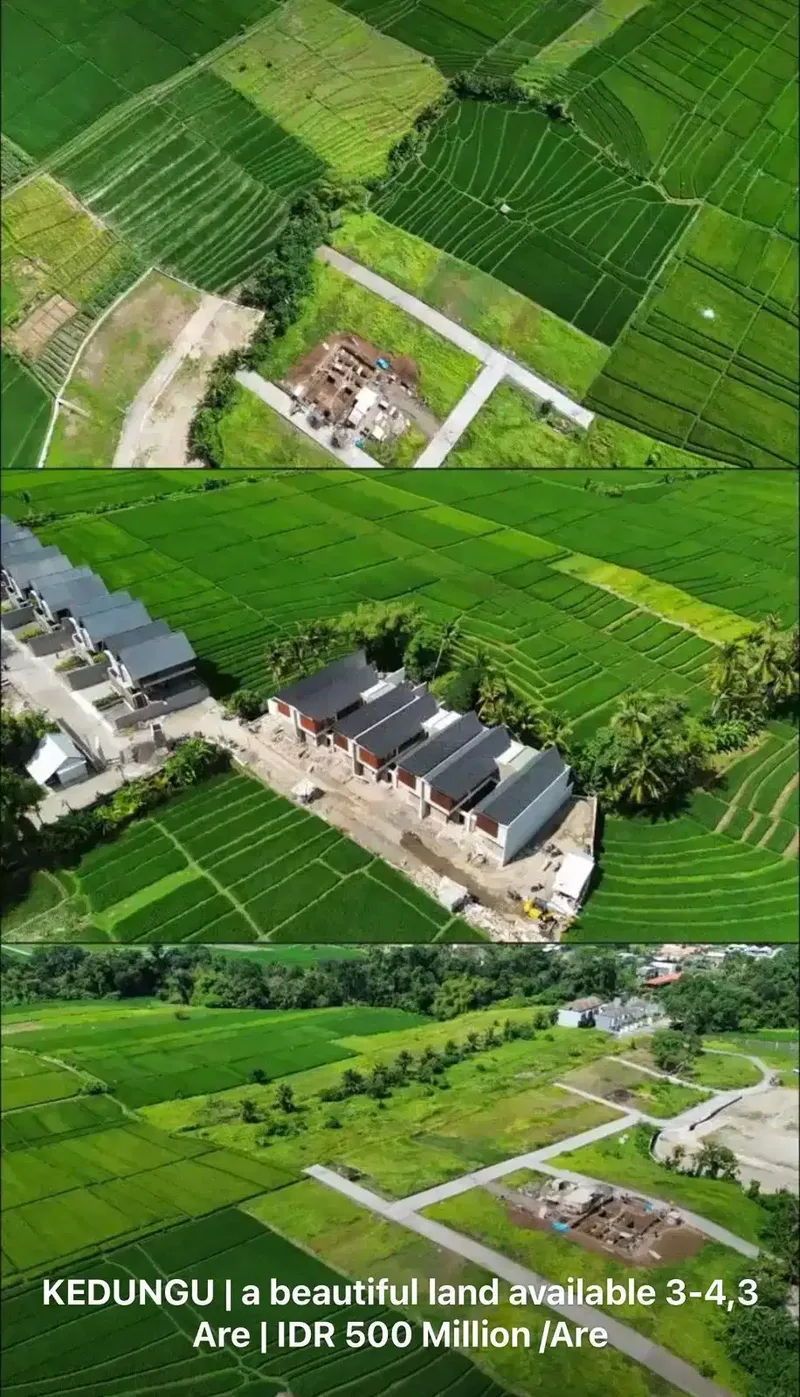 TANAH KEDUNGU DEKAT CANGGU NUANU NYANYI CEMAGI - Real Estate in Bali