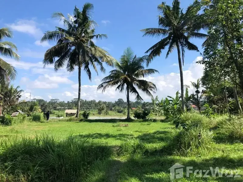 Land for sale in Ubud, Bali - Real Estate in Bali