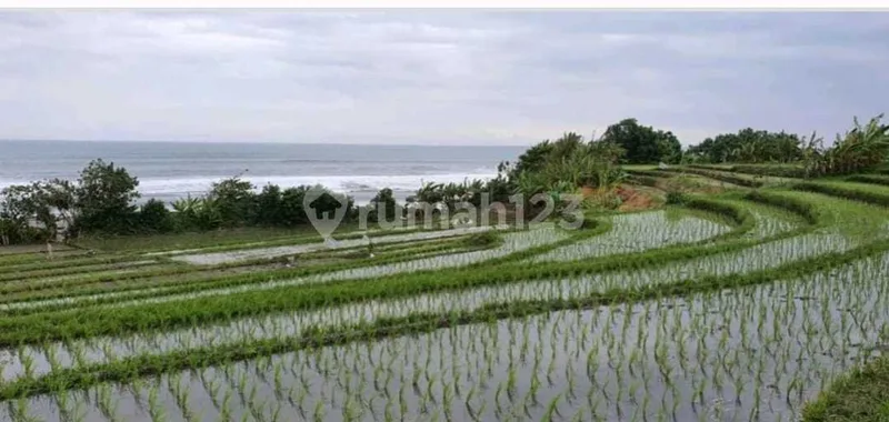 Tanah Tepi Pantai Beach Front di Dekat Tanah Lot Bali - Bali in Bali