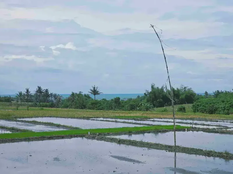 Dijual tanah view laut dekat pantai pasut di tabanan bali - Bali in Bali