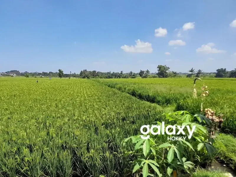 DIJUAL TANAH KAVLING ZONA KUNING DI PONDOK GEDE TABANAN - Real Estate in Bali