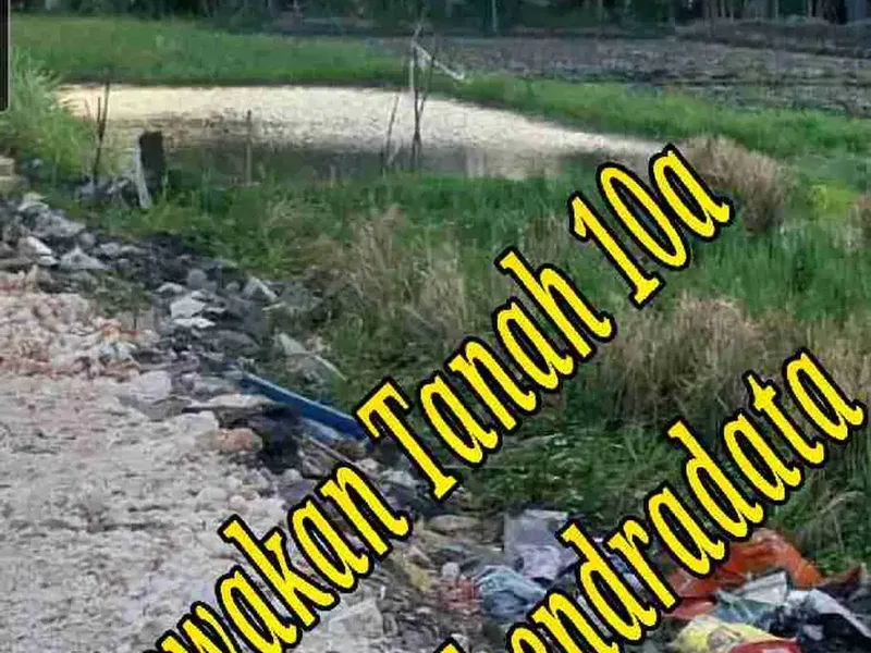 Disewakan Tanah 10a di area Jln Mahendradata Denpasar Barat Bali - Real Estate in Bali