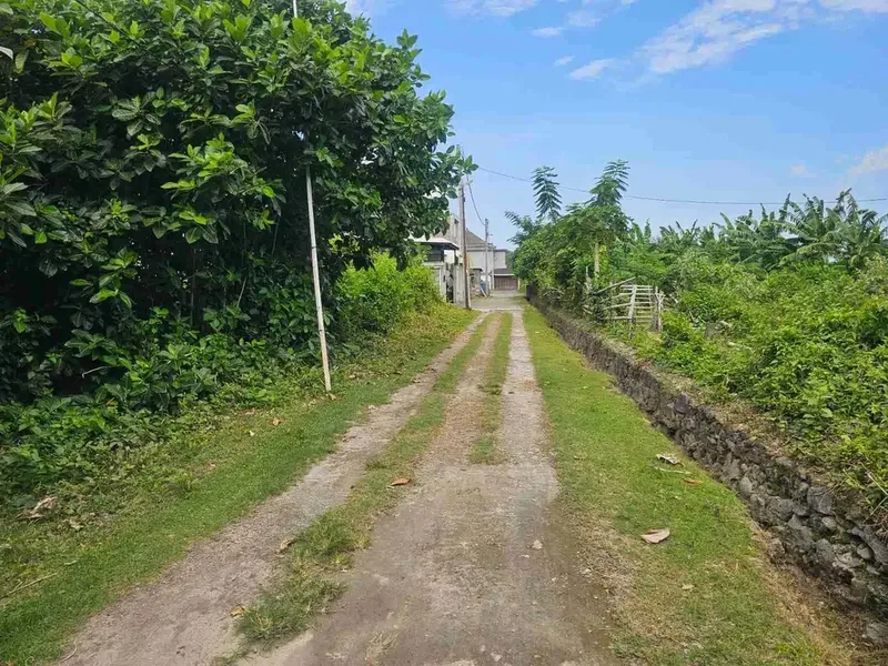 DIJUAL TANAH MERTANADI SEMINYAK KUTA - Bali in Bali
