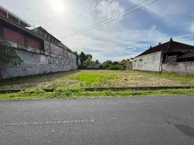 Tanah Singapadu Sukawati Bali - Real Estate in Bali