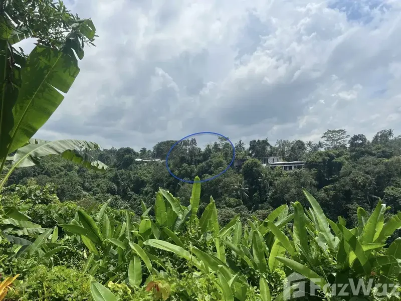 Land for sale in Ubud, Bali - Bali in Bali