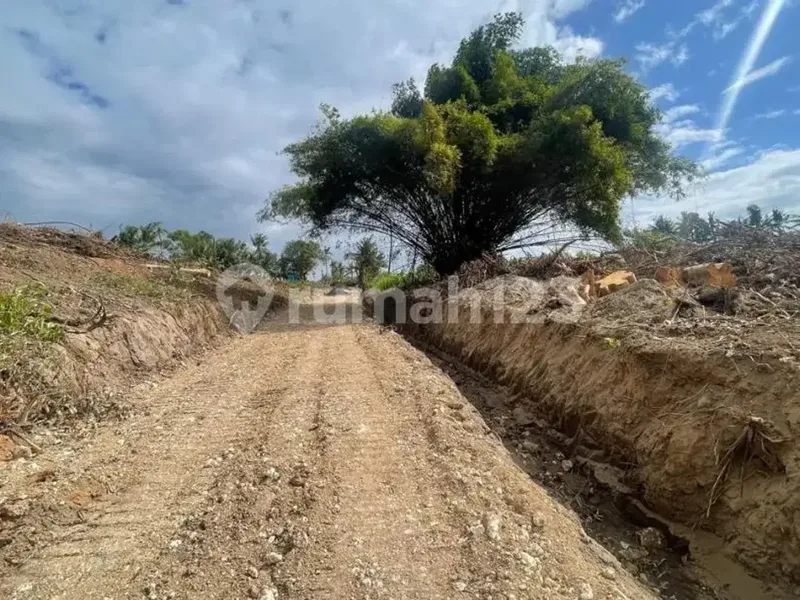 Tanah Global 3.720M² Depan Rs Kasih Ibu Saba Gianyar, Cocok Bangun Villa - Real Estate in Bali