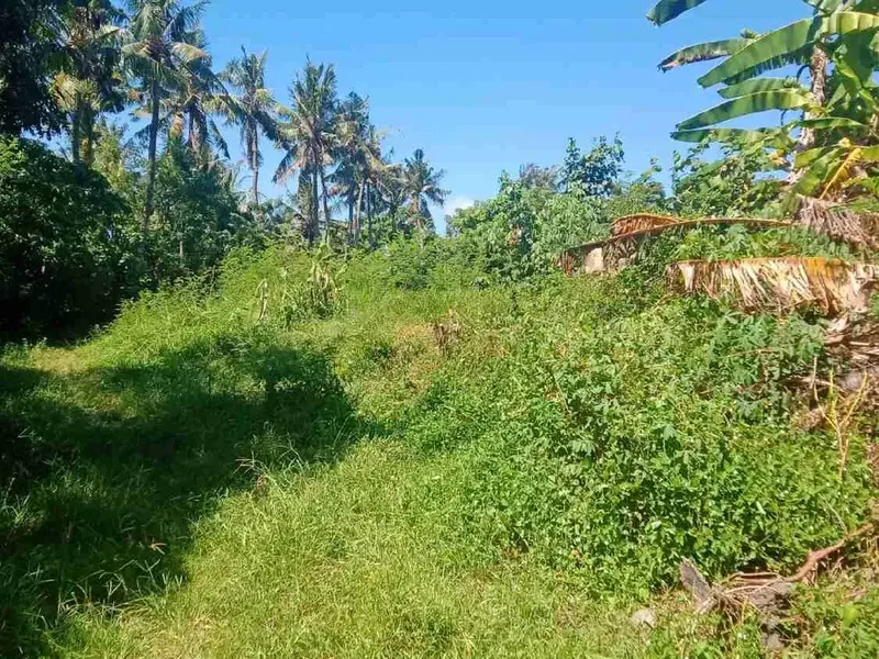 Tanah Bypass Ida Bagus Mantra Jalan Raya Cucukanlama - Real Estate in Bali