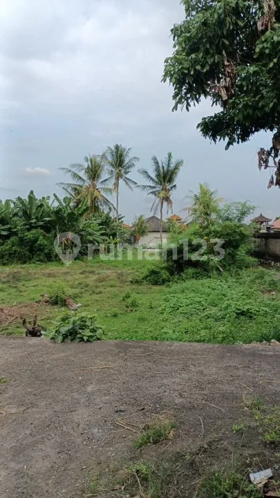 Down Price!! Dijual Tanah Jarang Ada 1,82 Are Dekat Kawasan Villa Elite Munggu Canggu Bali - Bali in Bali