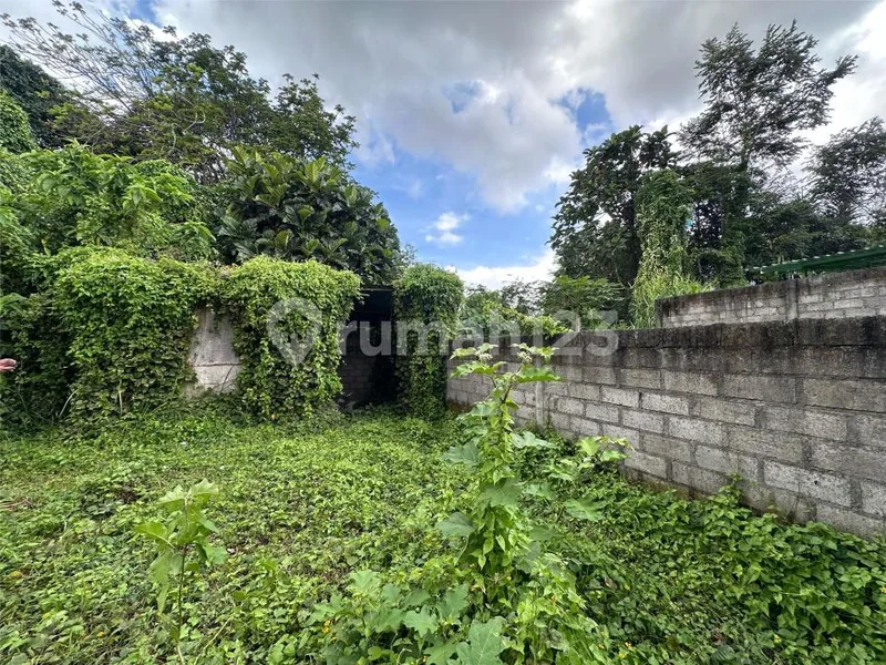 Tanah Jungle View Dekat Rs. Sanjiwani dan Tibumana Waterfall - Real Estate in Bali