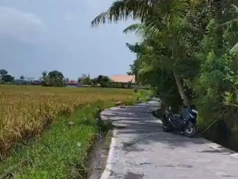 BUC 6 are Tanah Sawah di Singapadu kaler Gianyar Bali - Real Estate in Bali