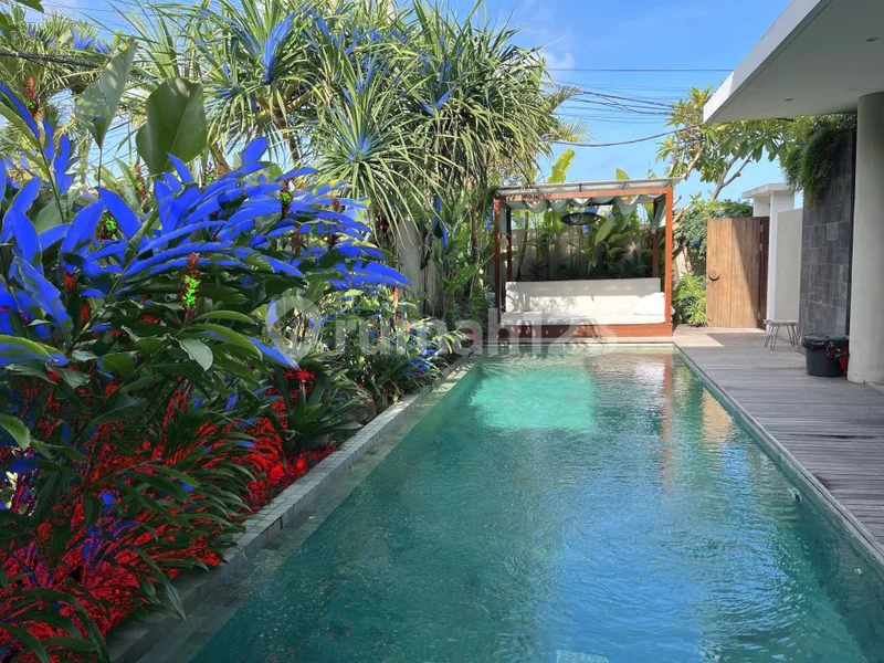 Beautiful And Clean Villa In Centre Of Seminyak - Real Estate in Bali