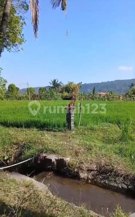 Tanah Jual Lokasi Banyuatis - Bali in Bali