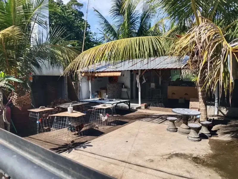 TANAH KOSONG MURAH DI KELATING TABANAN DEKAT PANTAI - Real Estate in Bali
