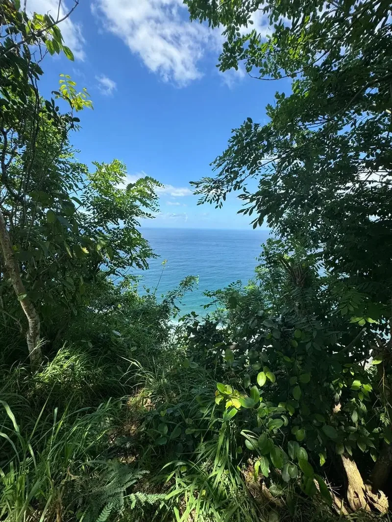 Tanah Cliff Front Nyang Nyang Uluwatu View Laut - Real Estate in Bali
