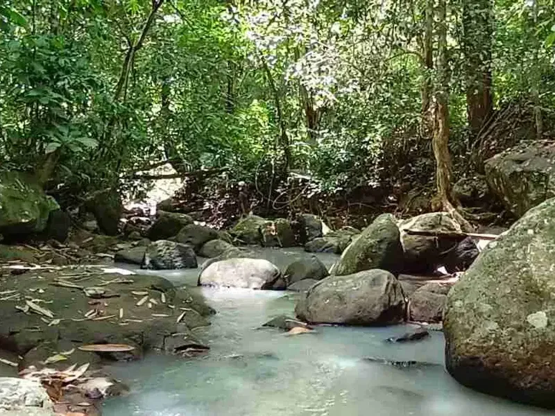 jual tanah kebun Los sungai murah di tabanan bali - Bali in Bali